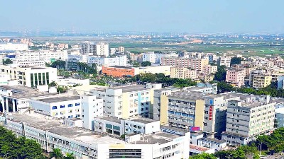 冬至陽生，春歸有期丨靈科超聲波與您共迎歲末暖陽